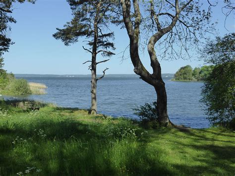 It gave a voice to my repressed feelings. Roxen, del 1- foto och bakgrund - Mosebacke Horse Sculptures