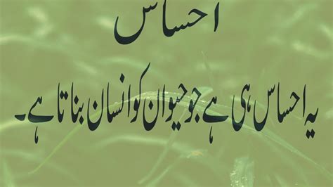 Best Aqwal E Zareen In Urdu Best Collection Of Urdu Quotes Sunehre