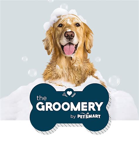 Dog Grooming & Self-Wash at The Groomery by PetSmart
