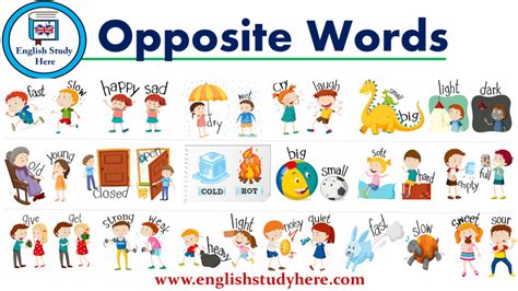 Opposite Words English Study Here