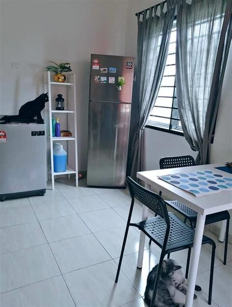 Rak kleppstad tambahan dapat dibeli untuk menyesuaikan solusi penyimpanan dengan kebutuhan pribadi anda. Dekorasi Ringkas & Tiada Kabinet Dapur. Trik Rumah Cantik ...