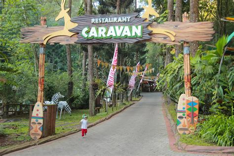 Caravan safari lodge - taman safari