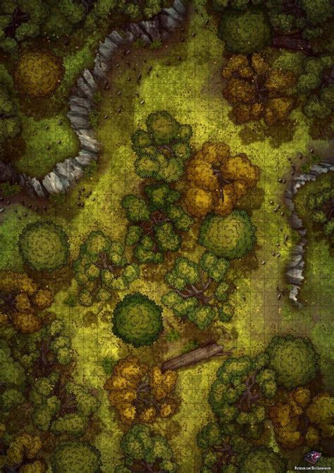 Forest Wilderness X Battlemaps In Fantasy Map Forest Map