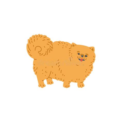 Pomeranian Dog Or Puppy Cartoon Character Flat Vector Illustration