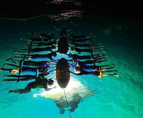 Hawaii Manta Ray Night Snorkel Big Island Tours And Activities