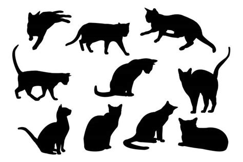Royalty Free Domestic Cat Silhouette Lying Down Black Clip Art Vector