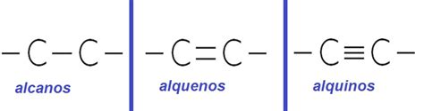 Propiedades Físicas De Los Alcanos Alquenos Y Alquinos Quimica11