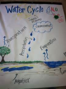 Water Cycle Anchor Chart Water Cycle Anchor Chart Water Cycle