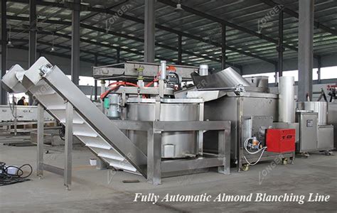 Fully Automatic Almond Blanching Linehazelnut Blanching Machine Price