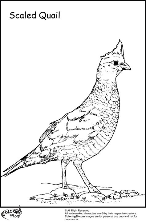 There's also a nice grouping of holiday coloring pages here. Quail Coloring Pages | Minister Coloring