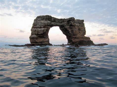 Npm warn notsup skipping optional dependency: Darwins Arch in the Galapagos | This the famous Darwins ...