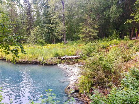Liard River Hot Springs Joy Of Exploring The Alaska Highway