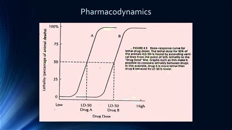 Lecture 8 Pharmacodynamics Drug Dosing Safety And Efficacy Youtube