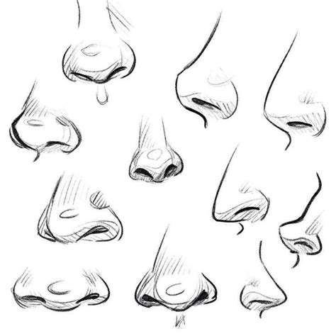 Just Pencil Nose Drawing Cartoon Noses Sketches