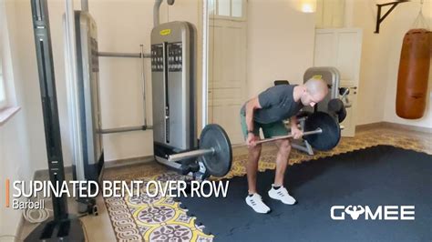 How To Do Supinated Barbell Bent Over Row Youtube