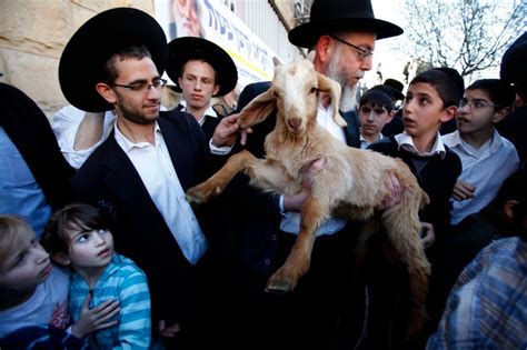 Israeli Authorities Jewish Men Tried To ‘disturb Peace With Goats In
