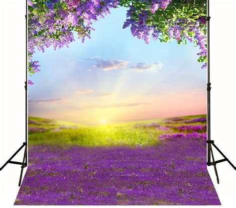Forest Art Fabric Vinyl Photography Backdrop Sunshine Lavender Wedding