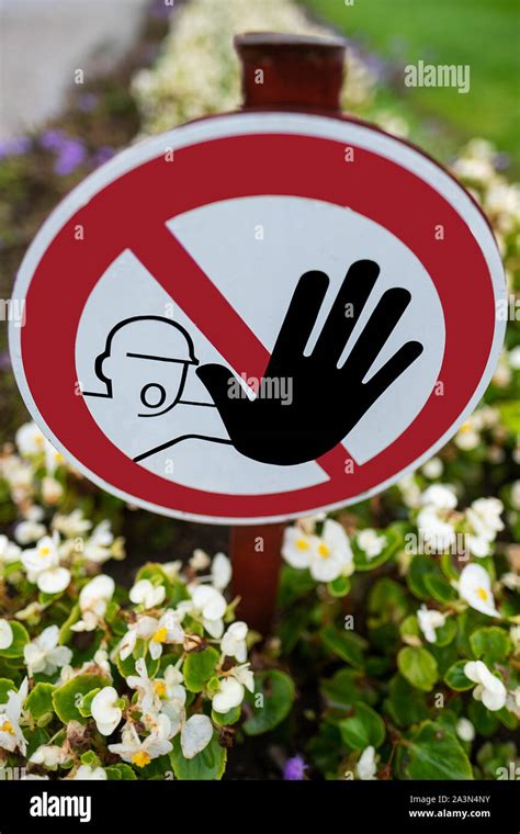 Prohibition Sign Entering The Flower Beds Prohibited Stock Photo Alamy