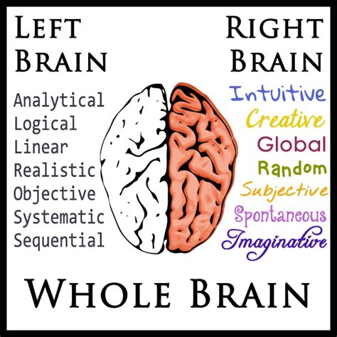 Left Brain Right Brain Whole Brain Learning