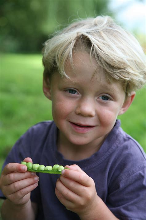 New Blog Time To Start Sowing Your Peas Get Some Tips On When And How