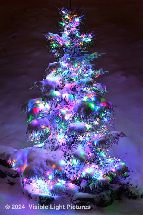 Sparkling Christmas Tree Lights Visible Light Pictures