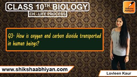 Q3 How Is Oxygen And Carbon Dioxide Transported In Human Beings Cbse