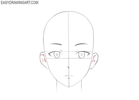 Basic Anime Head Shapes We Show You How To Draw Simply With Basic