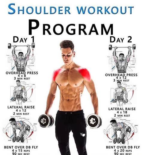 Shoulder Workout Program Guide Your Shoulder Muscles Ok So We Cant Start To Build Up The