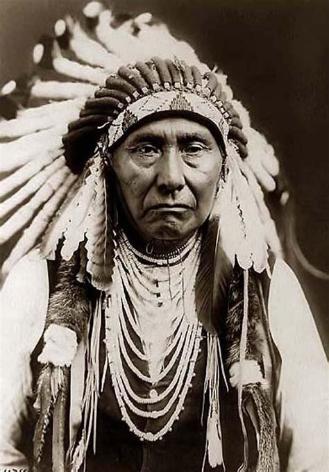 The Viz Modern Day Native Americans