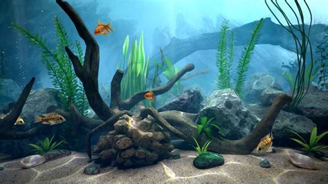 Real Time Aquarium Scene Breakdown Youtube