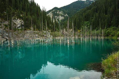 Sunken Forest Kaindy Lake · Kazakhstan Travel And Tourism Blog