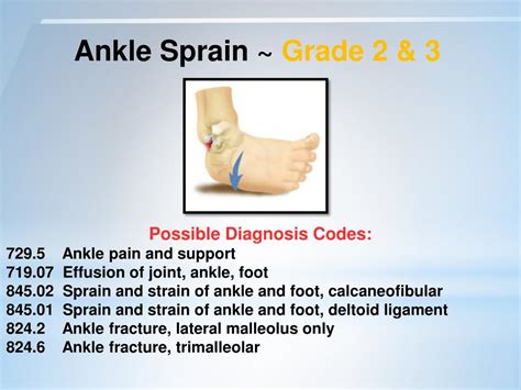 A grade 3 tear means that the lcl is completely torn. PPT - Diagnosis Specific DME Treatment Protocols and ...