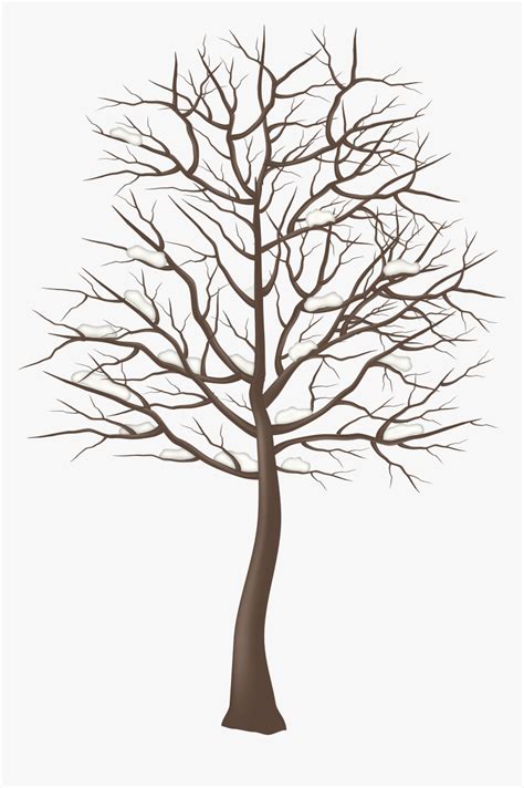 Free Winter Trees Cliparts Download Free Winter Trees Cliparts Png