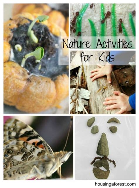 Nature Activities For Kids Housing A Forest