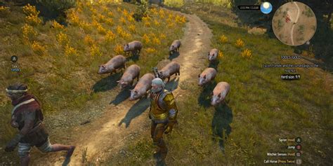 The Witcher 3 Fools Gold Quest Walkthrough