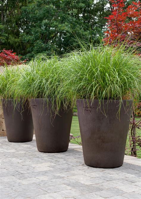 Gérez votre santé en ligne avec votre pharmacie : Ornamental grasses in Poterie de la Madeleine. Garden ...