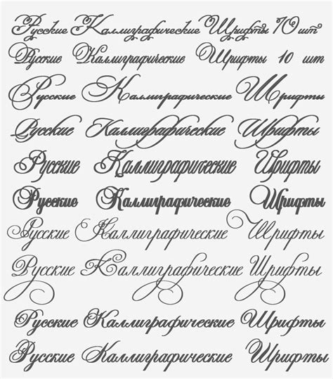 русские каллиграфические шрифты 10 штук Курсивные шрифты Рукописные