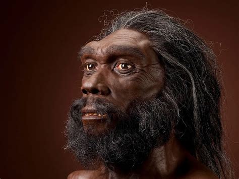 An Evolutionary Timeline Of Homo Sapiens 062023