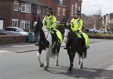 Greater Manchester Polices Mounted Unit Has Become The First Force In