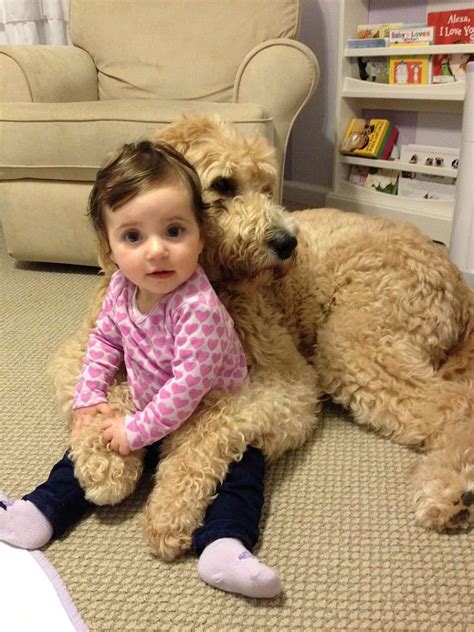 Pin On Babies Dogs Other Cute Stuff