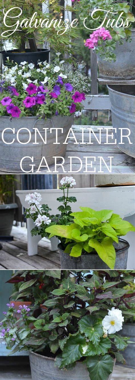 Wicking tubs are a growing trend right now, and leon has some of the best ideas on youtube. Galvanized Tubs and Buckets Container Garden | Container ...