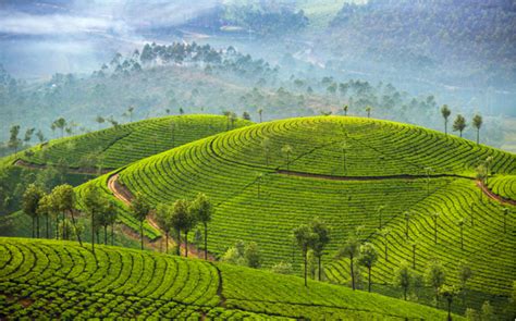 The 8 Best Things To Do In Kerala 2020 Akbar Travels Blog