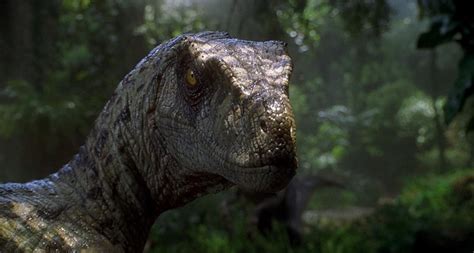 Re Sculpt Female Alpha Velociraptor Jurassic Park 3 Savage Strike Blue Dino Rivals Mattel 2019