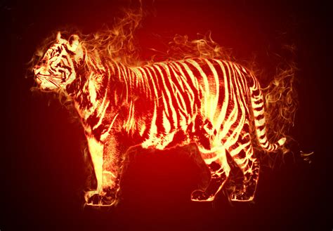 Wild Fire Tiger By Flamablep On Deviantart