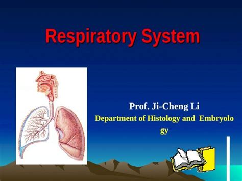 Ppt Respiratory System Prof Ji Cheng Li Department Of Histology And