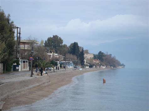 Θάλασσα καὶ πῦρ καὶ γυνή, κακὰ τρία. δια χειρός Ρένας Χριστοδούλου: ΤΑ ΝΕΑ ΑΠΟ ΤΟ ΑΙΓΙΟ