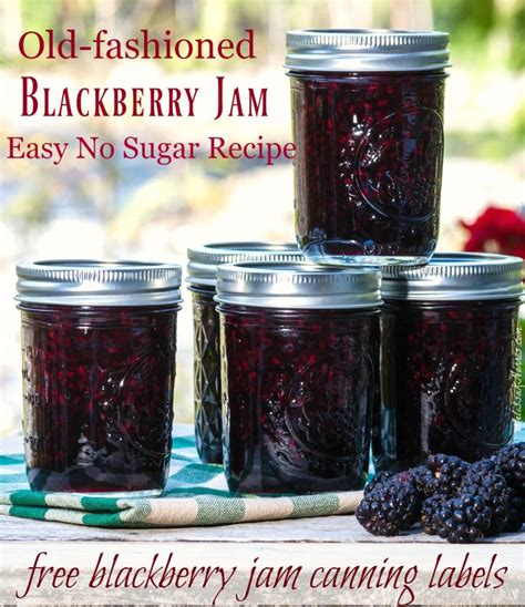 Easy Blackberry Jam Recipe Low Sugar With Canning Instructions Melissa K Norris