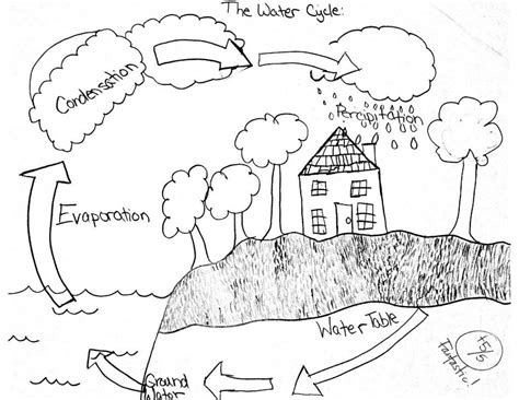 The water cycle is the continuous journey water takes from the sea, to the sky, to the land and back to the sea. Exclusive Picture of Water Cycle Coloring Page | Simple ...
