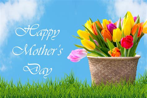 Tulips In Basket Mothers Day Card Free Stock Photo Public Domain