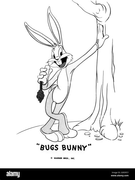 The Bugs Bunnyroad Runner Movie Aka The Bugs Bunnyroad Runner Movie